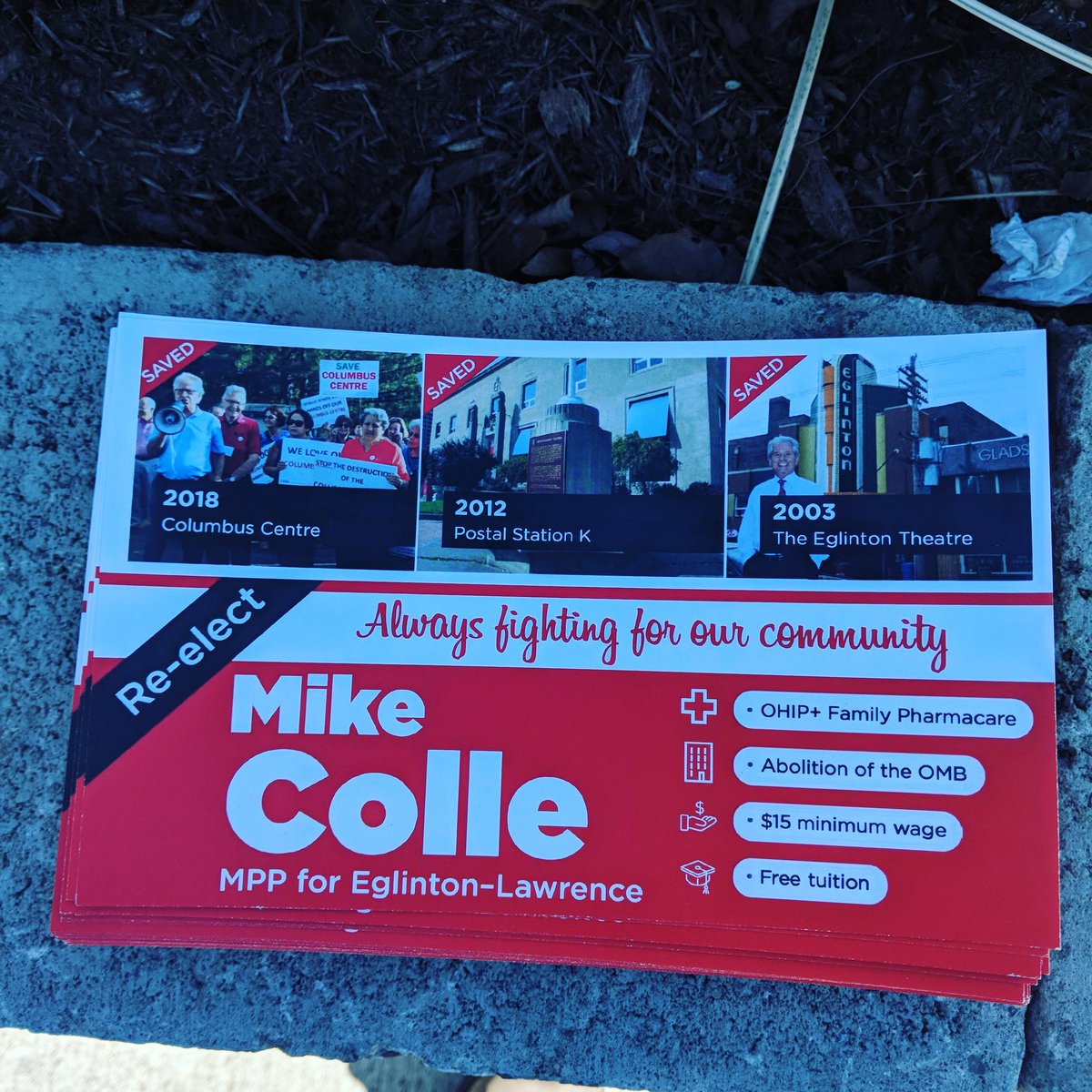 LyndsMill's tweet photo. Knocking on doors today for this guy! Mike is a champion for his community and all around amazing MPP! @MikeTColle #OLP2018 https://t.co/nUZelV9Snp