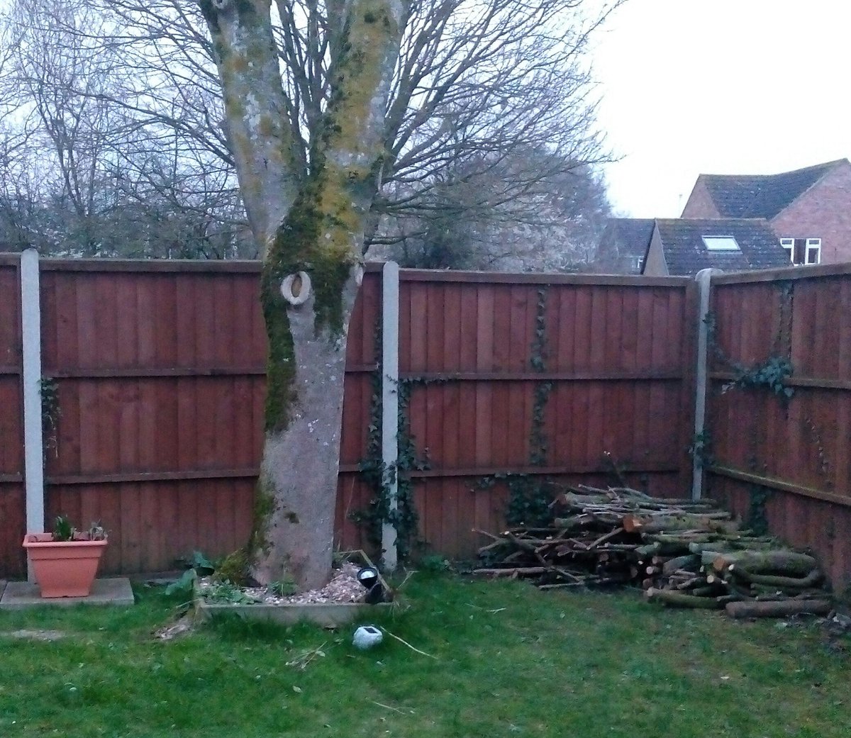 @WildlifeTrusts We're trying! This is our tidy garden in our new home - but we've already built a logpile house and scattered some seedballs on the other side of the fence!