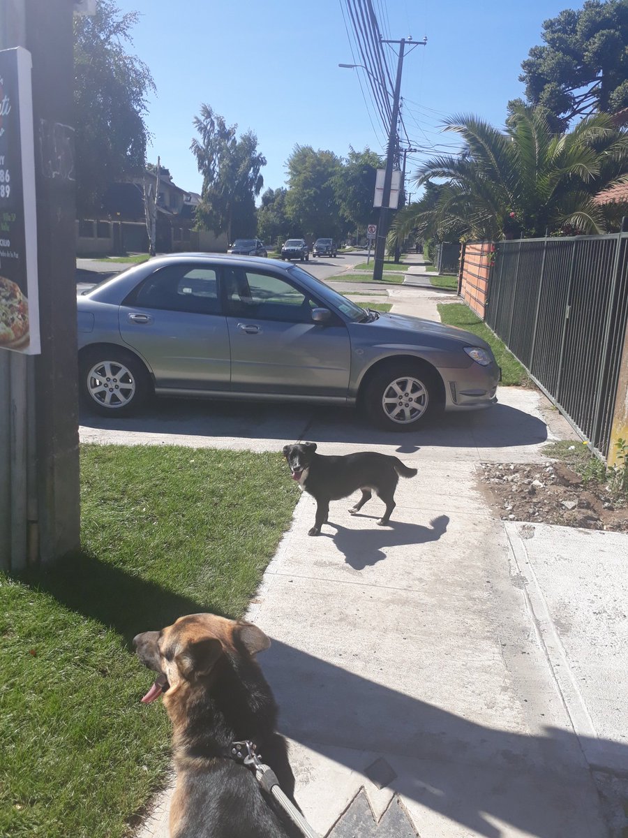 <a href="/VitacuraAxeSOS/">VitacuraAxeSOS</a> <a href="/PeatonActivo/">Peaton Activo</a> <a href="/Peatonalizate/">Peatones Empoderados</a> <a href="/LigaPeatonal/">Liga Peatonal</a> <a href="/peatonesprimero/">peatonAs primero</a> <a href="/HappyPeaton/">HappyPeaton 🌳🐒🇨🇱</a> @Peaton_No <a href="/PeatonVigilante/">Peatonsito en Oaxaca 🇲🇽 🦜♻️</a> <a href="/Cperezcarvallo/">Carolina Perez Carvallo 🏳️‍🌈</a> <a href="/solealamos/">Sole Álamos</a> <a href="/PeterLochT/">Peter Loch</a> Dueños de la calle y la vereda...