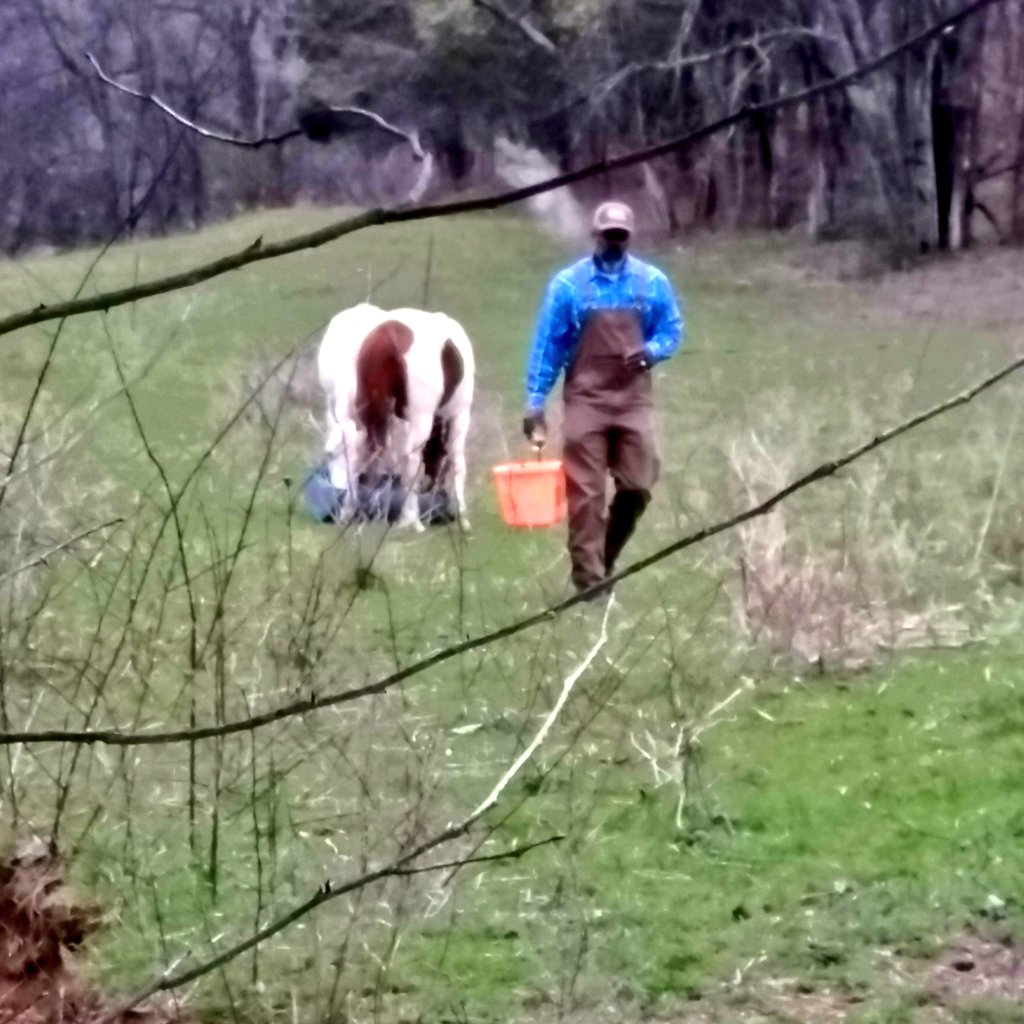 DevanNeal1's tweet photo. finally got some pictures of the horses and my sexy cowboy  #cowboyup #Peaceful https://t.co/7kYTTYkB6r