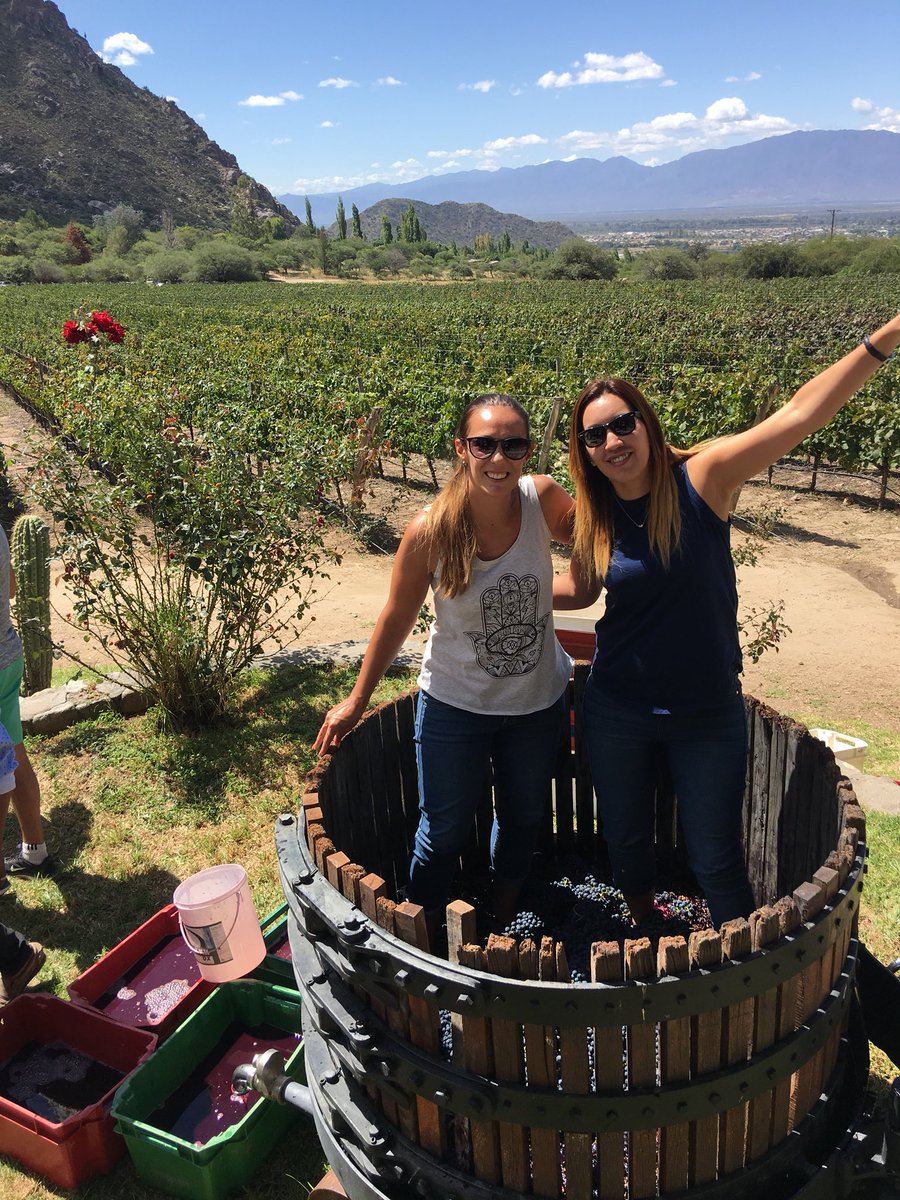 vickybrichetto's tweet photo. #vendimia2018 en #FincaLasNubes #Cafayate #Salta #Argentina https://t.co/1SGzUnJiWk