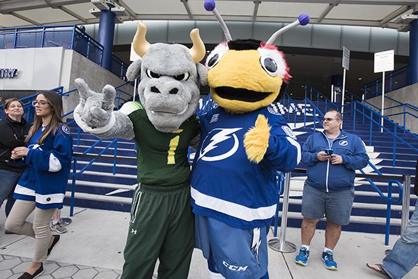 USouthFlorida's tweet photo. There's nothing like #BullPride and hockey at @AmalieArena.
The third annual #USFNight at the @TBLightning celebrated our community partnership and #TeamTampaBay! 🤘⚡️ https://t.co/9gwB4hAAQW https://t.co/WjdOEBBcGV