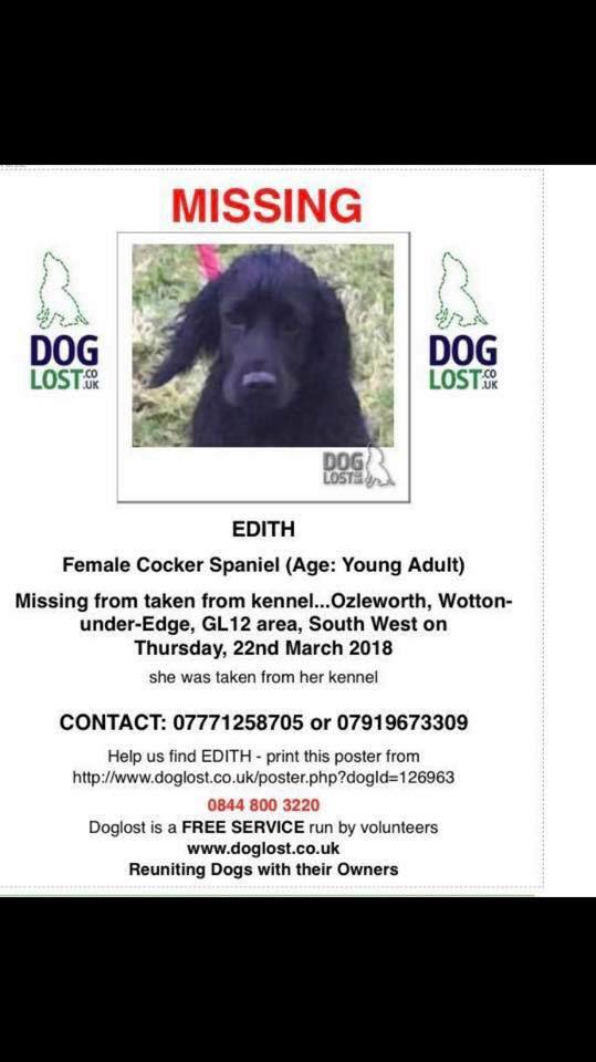 The_Animal_Team's tweet photo. #MISSING #OZLEWORTH #WootonUnderEdge #GL12 Area. https://t.co/2JmpyggQEu https://t.co/xL9CWPp0iH