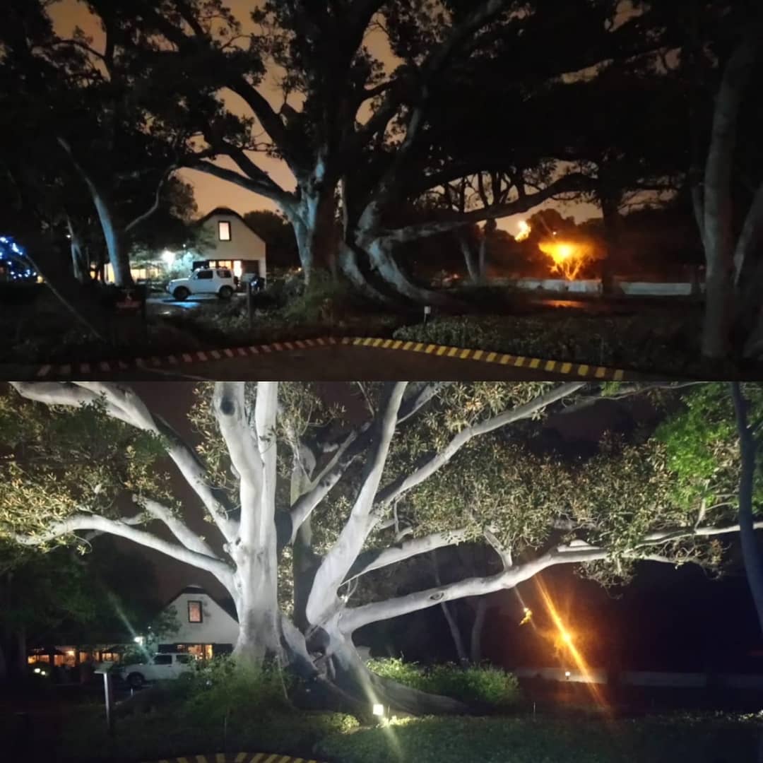 LindSA001's tweet photo. Protea Hotel Mowbray celebrating Earth Hour #MIEarthHour #Serve360 https://t.co/NSDWTwJxB2