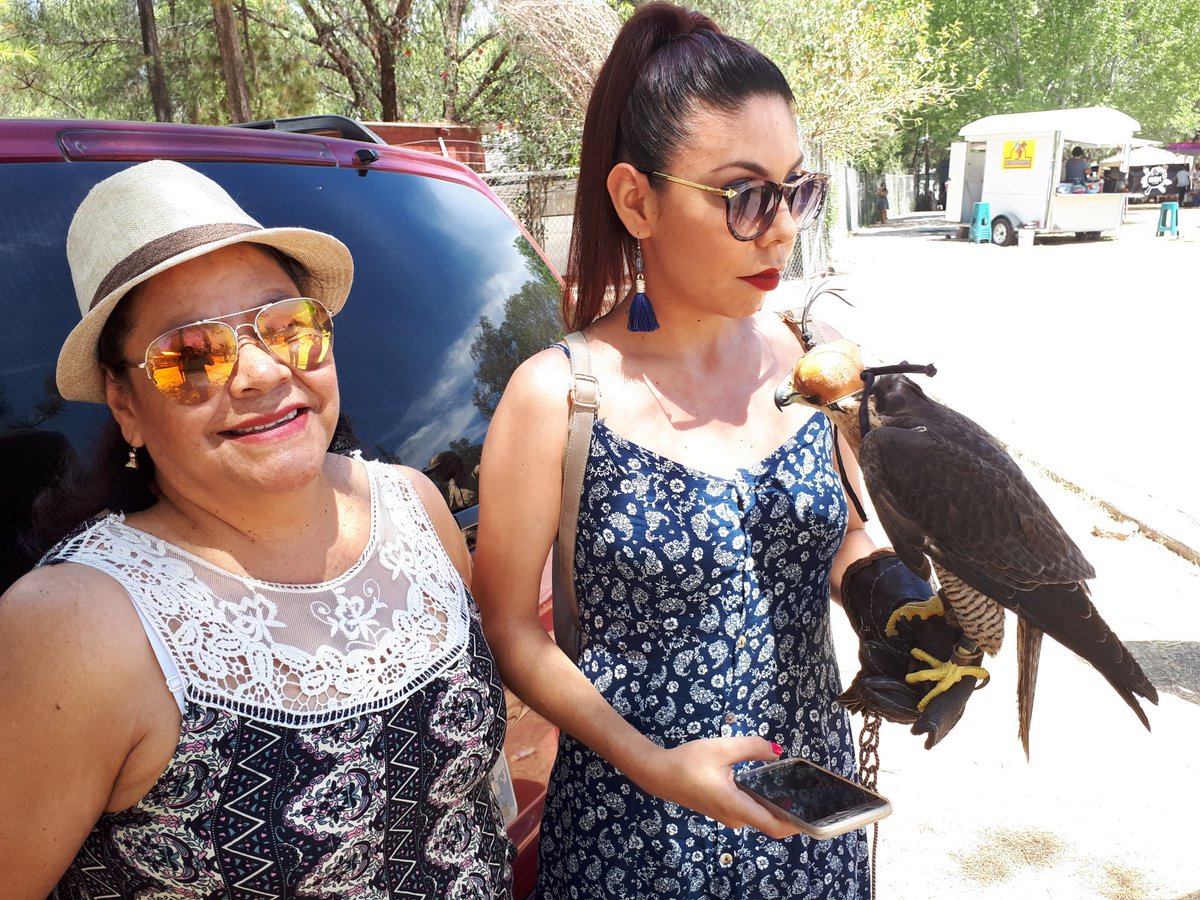 aguagobgente's tweet photo. La Unidad de Manejo para la Conservación (UMA) de Pénjamo, nos apoya en #EcoparqueFest de @GobSalamanca con concientización de respeto a las aves rapaces
Sabías que el Escudo Nacional fue pintado por un penjamense. https://t.co/qil8C5ha7h