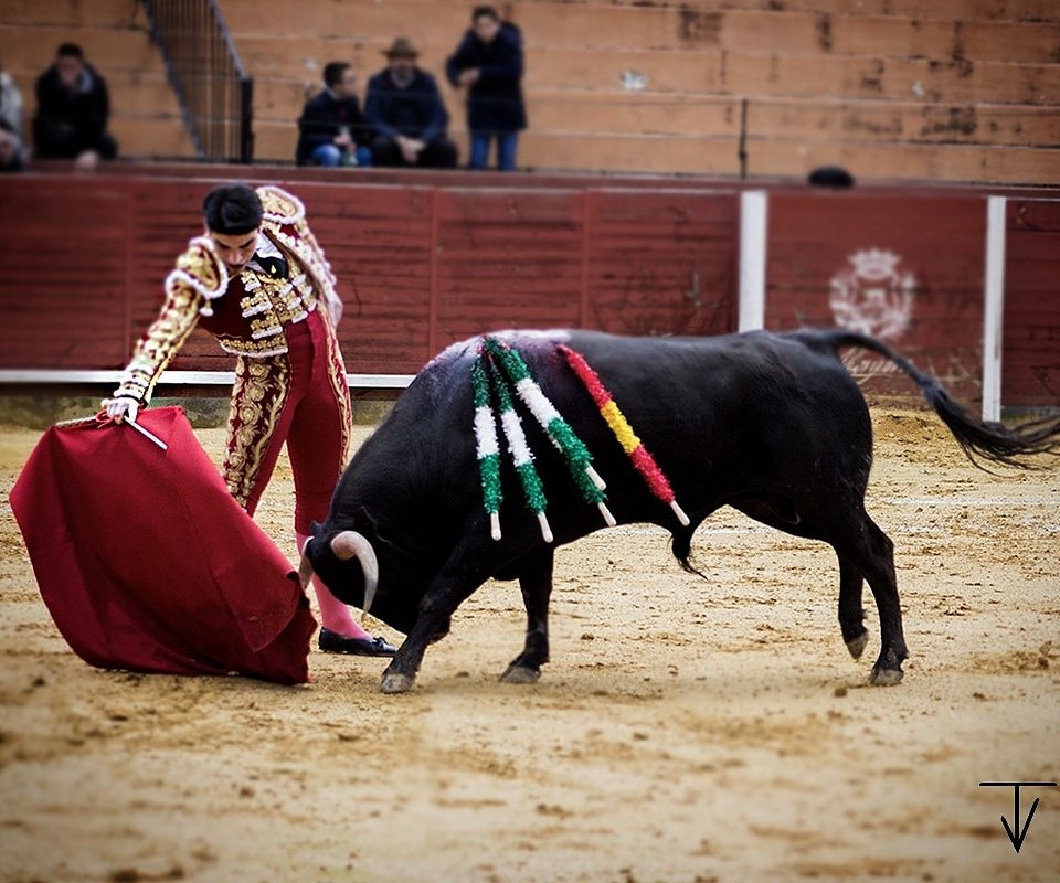 La condición de los animales  no dió opción al triunfo tras una tarde con mucho gusto <a href="/BorjaAlvarez23/">Borja Alvarez</a> #Temporada2018 #tauromaquia #tauromaquiartecultura #toros