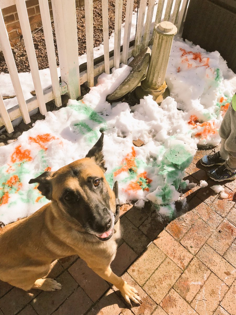 K9 Jase tweet media