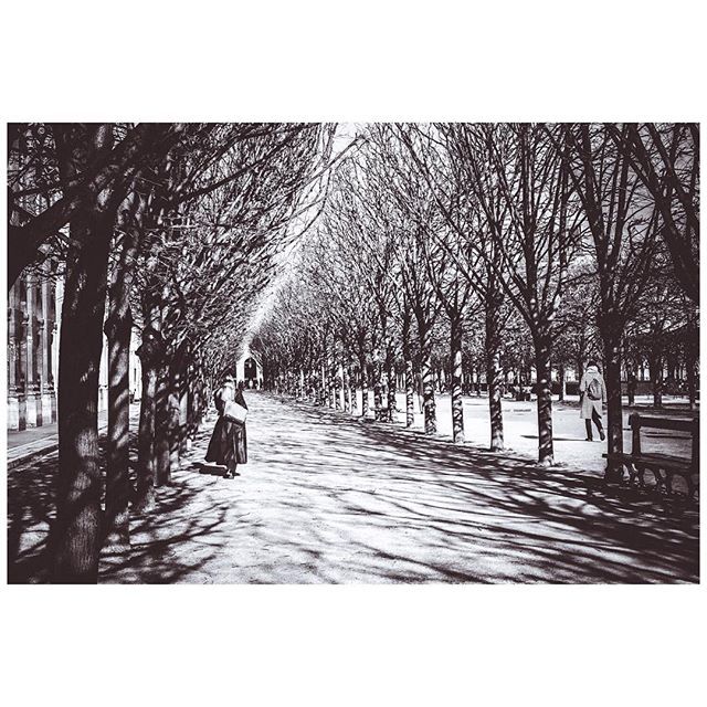 Trees #fuji #fujifilm #fujifeed #paris #agameoftones #chasinglight #bnw_city_streetlife #bnw_of_our_world #igersbnw #bnwcaptures #bnw_magazine #bnw_demand #bnw_creatives #bnw_lightandshadow #bnw_diamond #bnw_kings #thehub_bnw #streetdreamsmag #streetphot… ift.tt/2DRDpO3