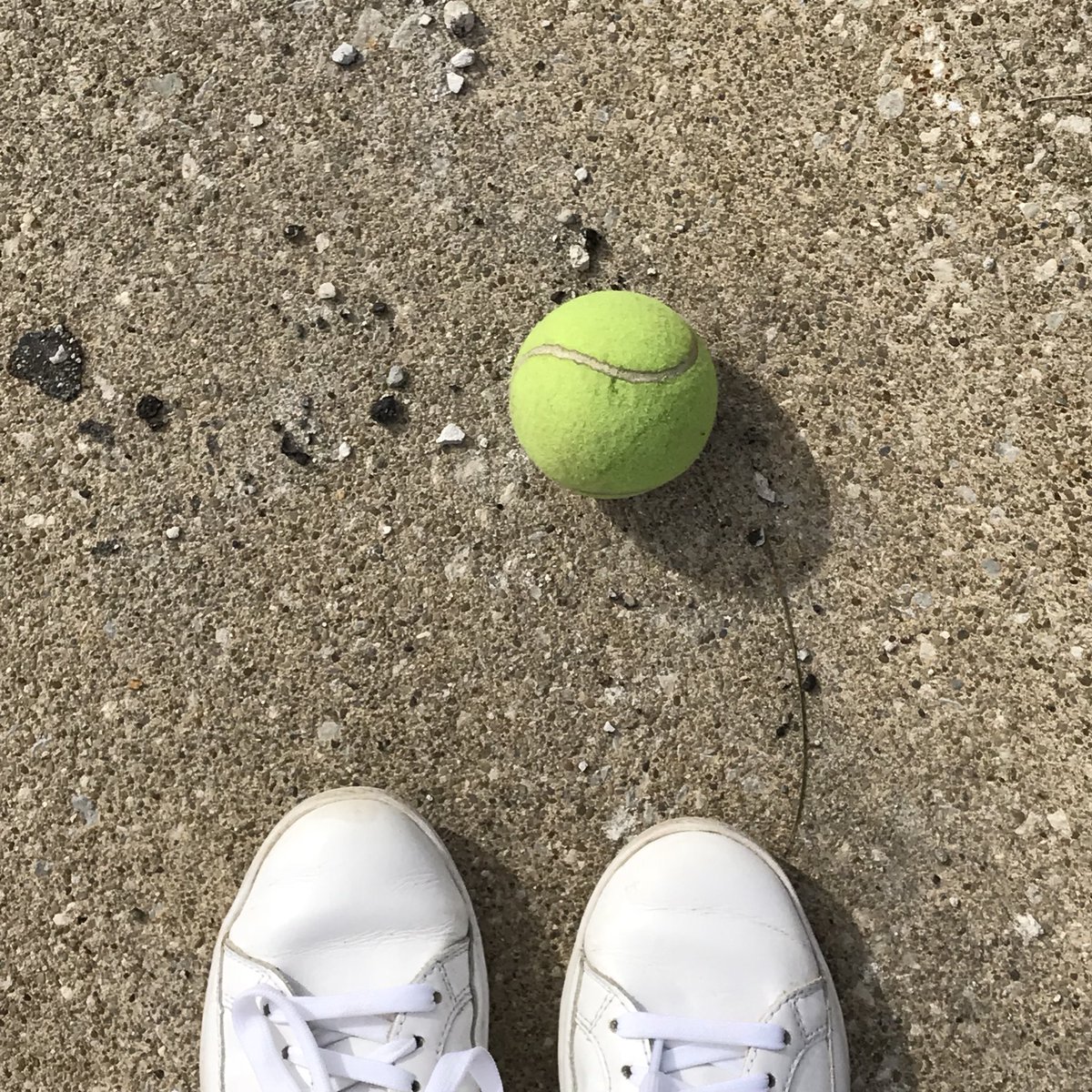 rootzmac's tweet image. It looks pretty green to me. . . @HelloInternetFM @BradyHaran @cgpgrey