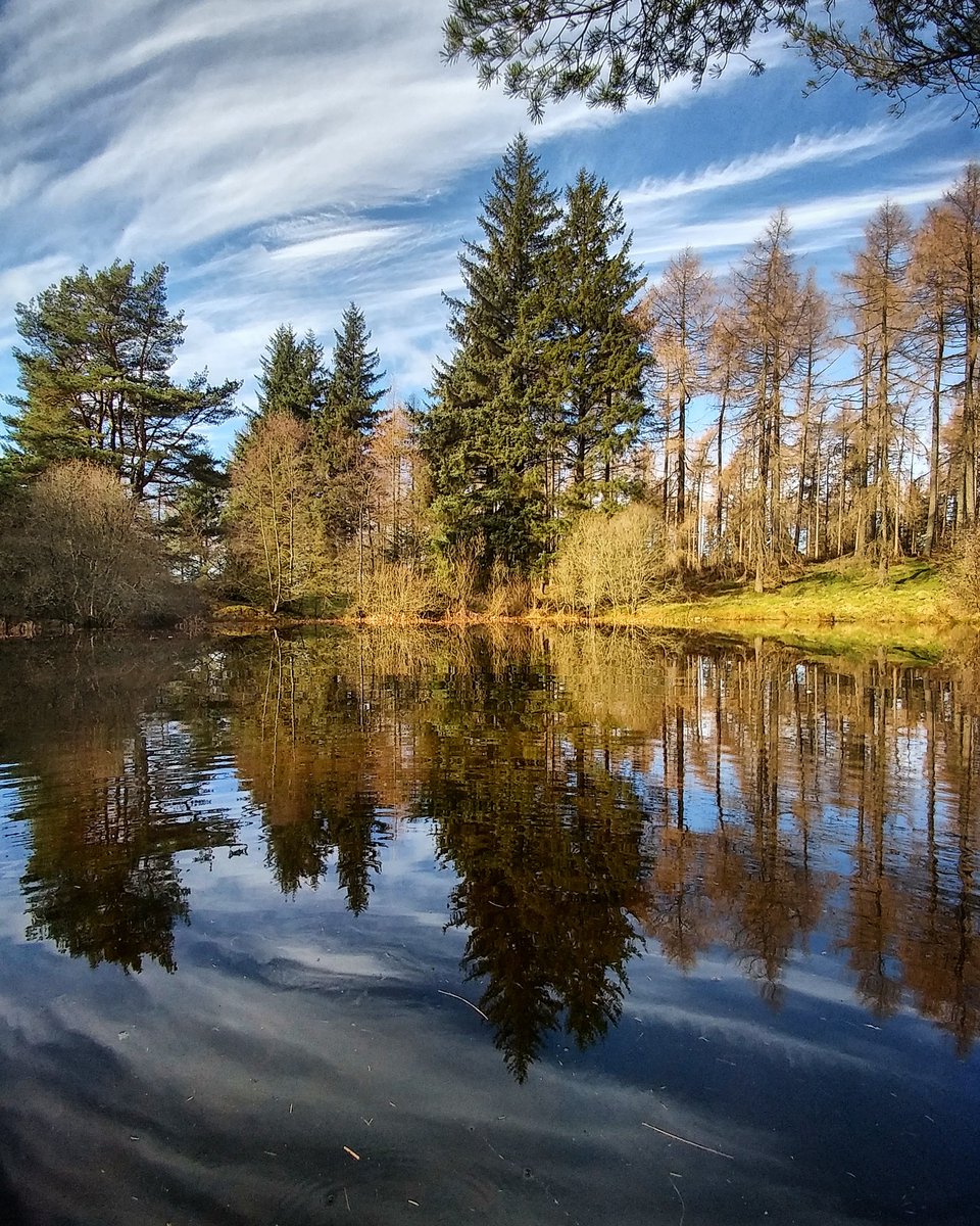 sclaff18's tweet photo. #teflections in a #pond
#water #trees #nature #Spring #skyporn #Scotland #Perthshire #Kinnoull @LGUK #Photography https://t.co/UIdrRuJ9gi