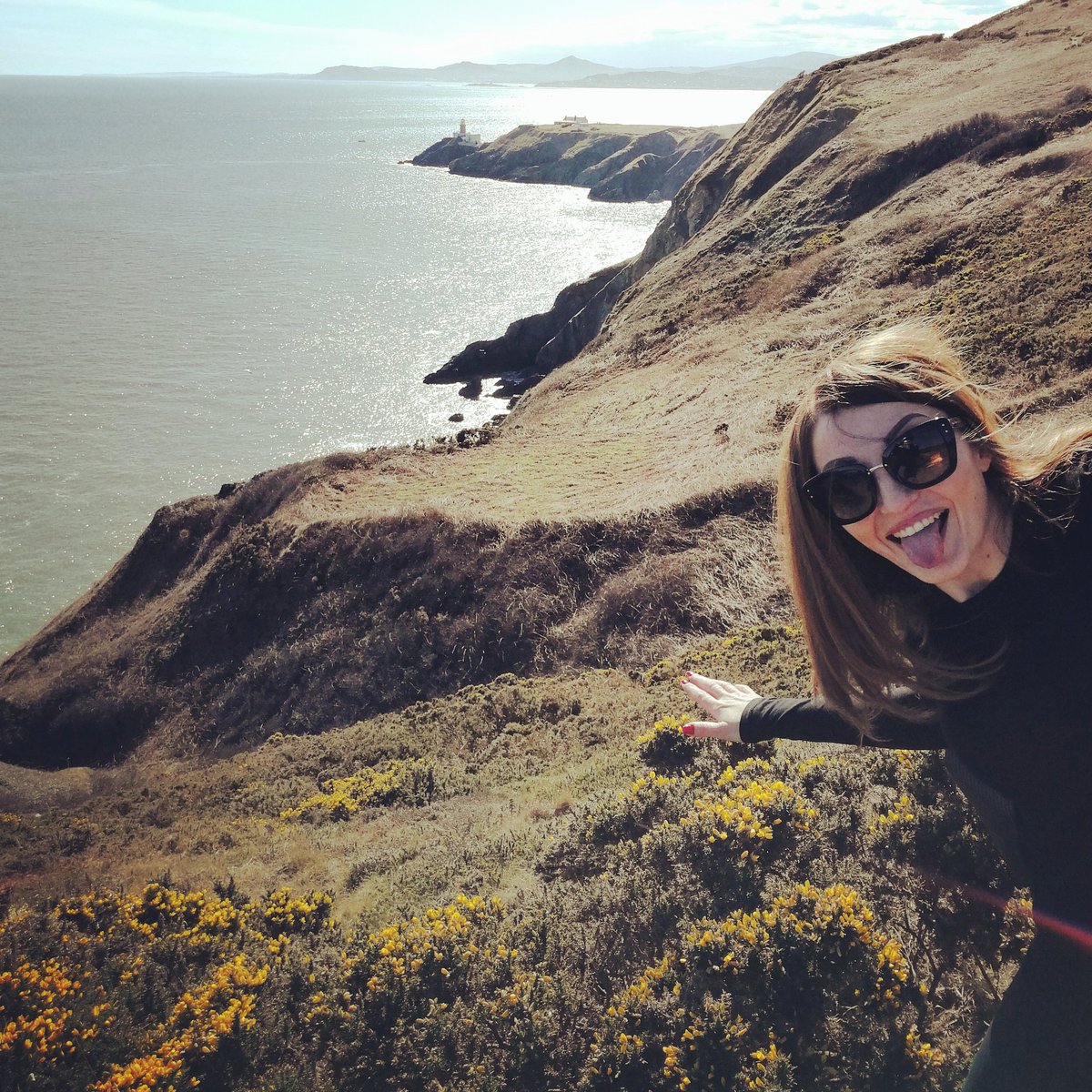 Cathalineen's tweet photo. Best #photobomber #howthcliffs #howthwalk #portofhowth #sea #irishsea #sunnyday #howthcliffwalk https://t.co/dY4Xbc11LJ