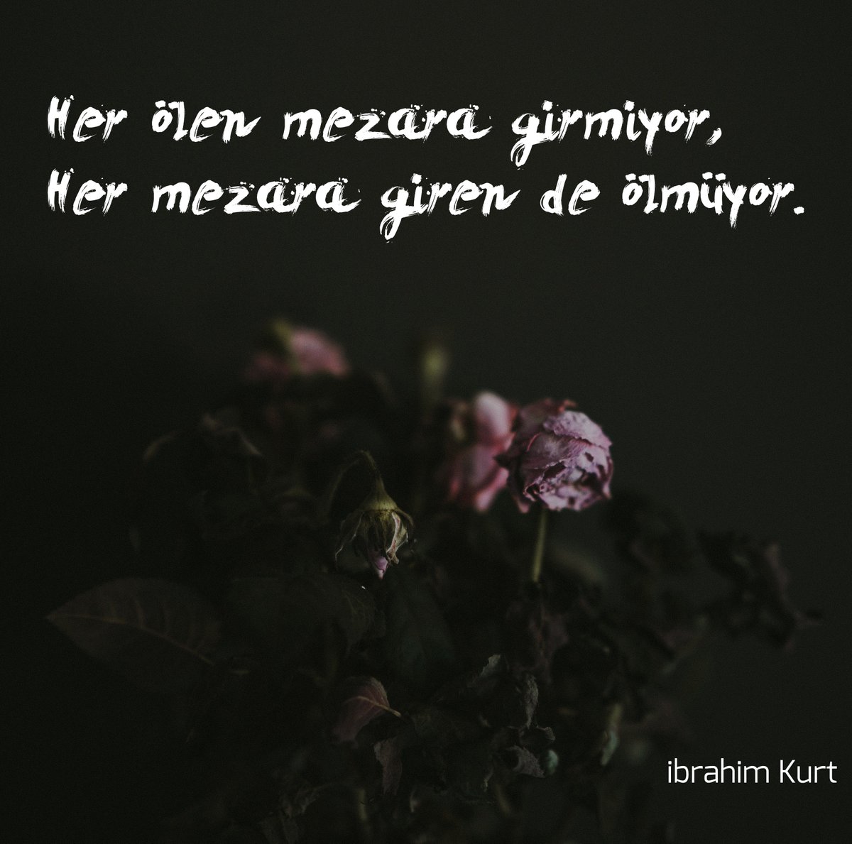 Her ölen mezara girmiyor,
Her mezara  giren de ölmüyor.

[ibrahim Kurt]
