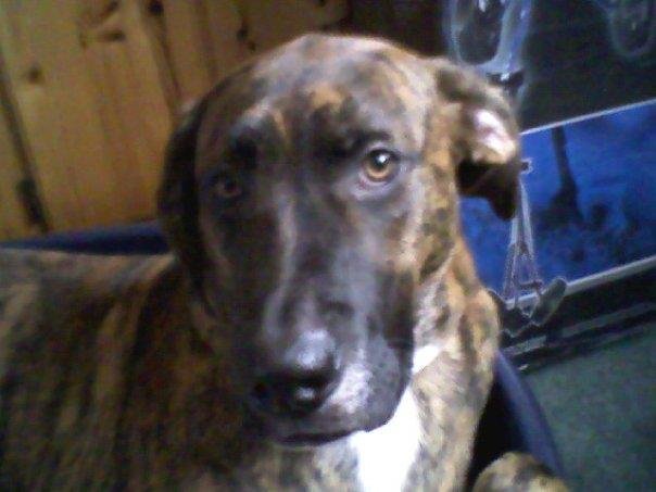 Days like today I miss #mumsboy