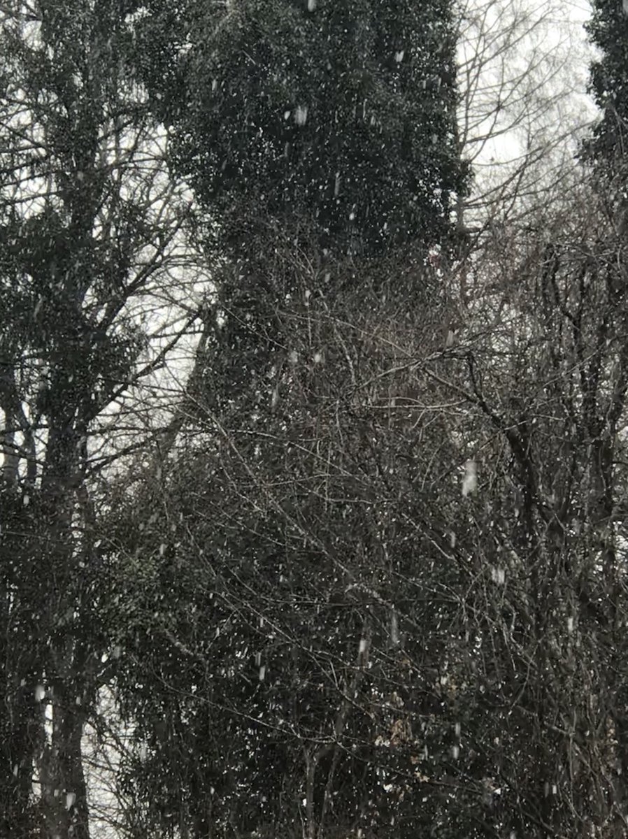 Vikki__Lee's tweet photo. @SpencerWeather @WOWK13News @StormTracker13 @NWSCharlestonWV Snow off of East Pea Ridge https://t.co/0ETeCCh6eI