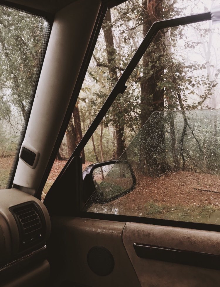 رُشدْ tweet media