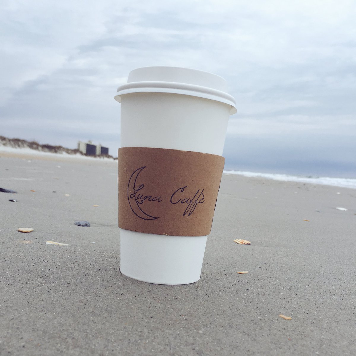 When you take Luna to #wrightsvillebeach ...magic! #drinkluna