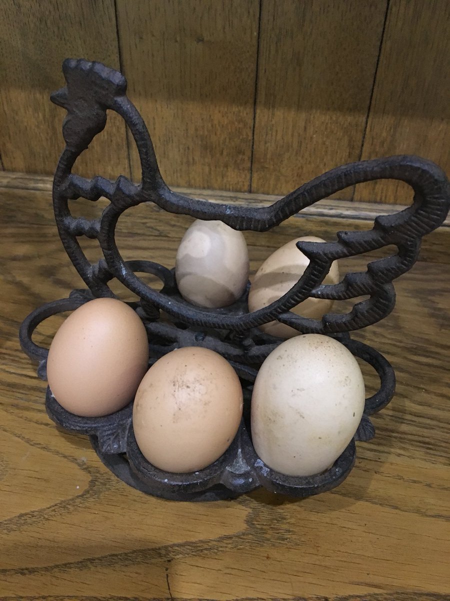 LittleLodgeFarm's tweet photo. Chicken laying again #spring https://t.co/VXJNcPvQIB