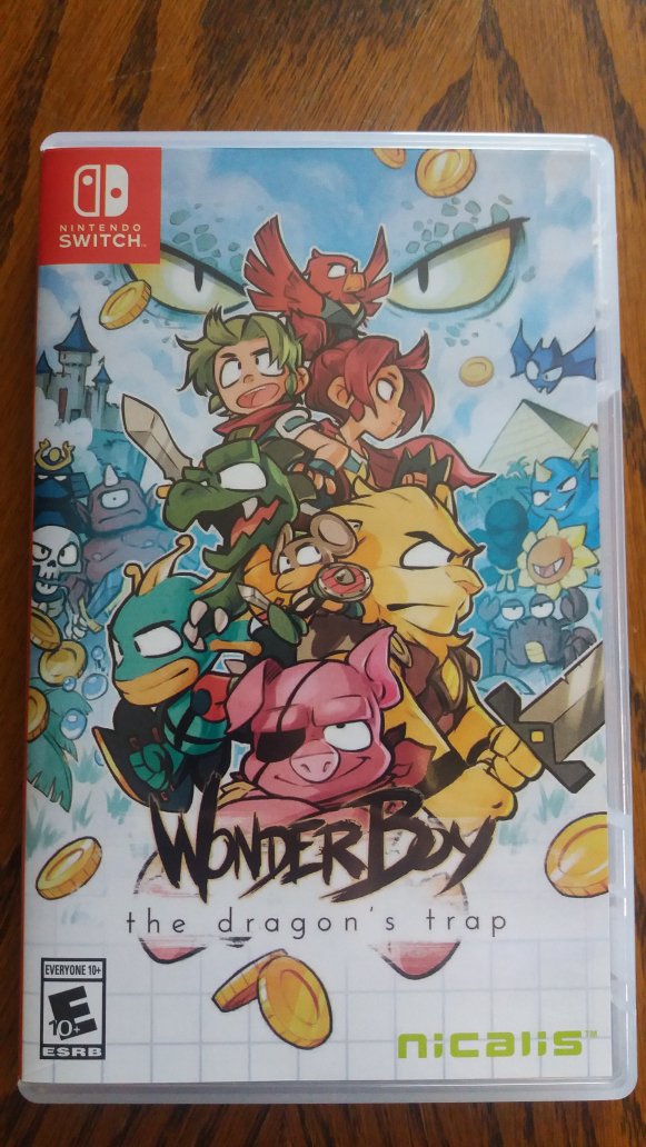 katuro117's tweet image. Slide 1: "Oh this is nice, I like Nicalis games."
Slide 2: "This is cute, fully colored instruction manual and a cool reversible cover."
Slide 3: "Alright pokken tournament, let's see what's inside--" *fly comes out*
Slide 4: "Oh." :|