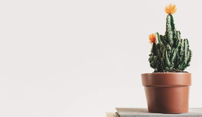 MoneyPulseUSA's tweet photo. Discover the financial benefits of the minimalist movement. https://t.co/EZlBz9tx4C https://t.co/Ci3f56gj80