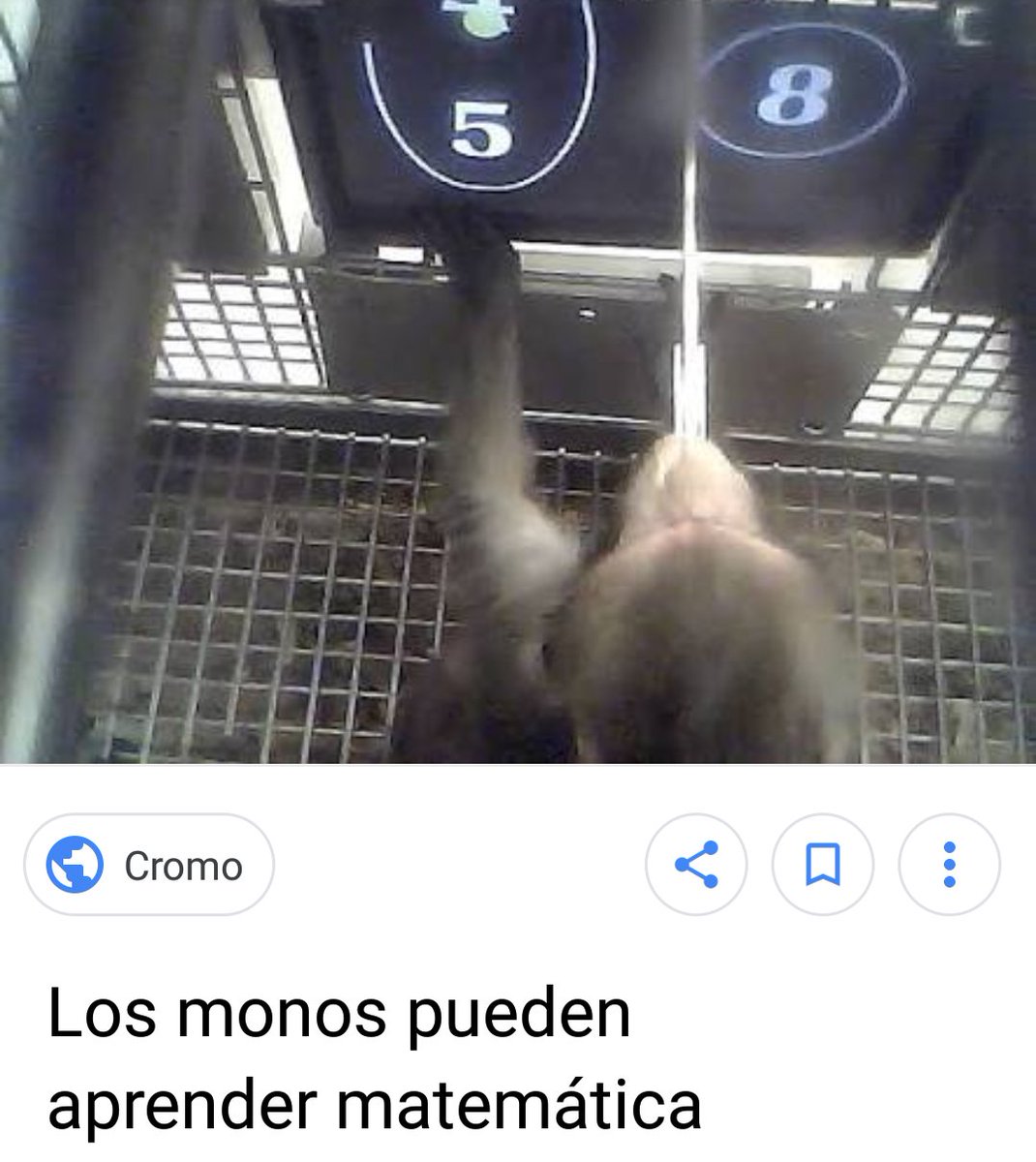 Round15All's tweet photo. @Mexivergas @WindyGirk @Rubiu5 1-@WindyGirk "Rompe records" con 90% de comentarios de hate.
2-Dejen al mono @Mexivergas, está aprendiendo a sumar apenas. https://t.co/iGGaUBCMOZ