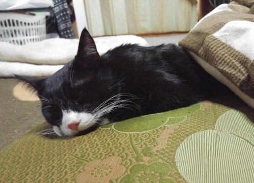なぜだ
一体どういうことなんだ！
意識が
薄れていく・・・