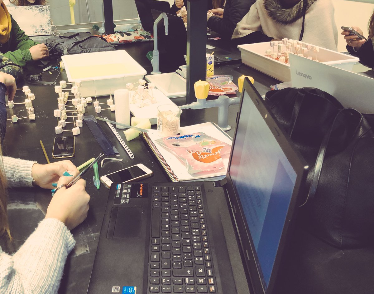 JulianaLPIS's tweet photo. Best friends! We❤️teaching... Interdisciplinarity between Science and Maths... Our future! @RLaranginha @CattitaSousa @Sci&amp;MathCriativeLab #ITELab_eu #PIS #esesantarem https://t.co/NezC4S5GIj