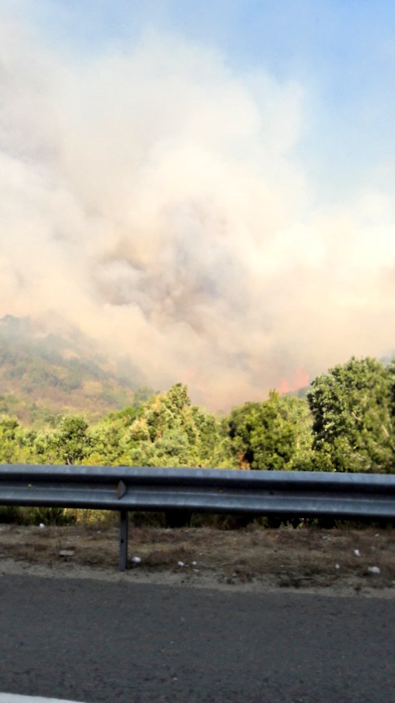 sitiodelsuceso's tweet photo. #Quilpué Incendio forestal descontrolado en Ruta Lo Orozco, altura cruce Colliguay (vía @an_droide_que ) https://t.co/PGfGnNVZSI
