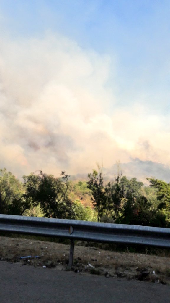 sitiodelsuceso's tweet photo. #Quilpué Incendio forestal descontrolado en Ruta Lo Orozco, altura cruce Colliguay (vía @an_droide_que ) https://t.co/PGfGnNVZSI