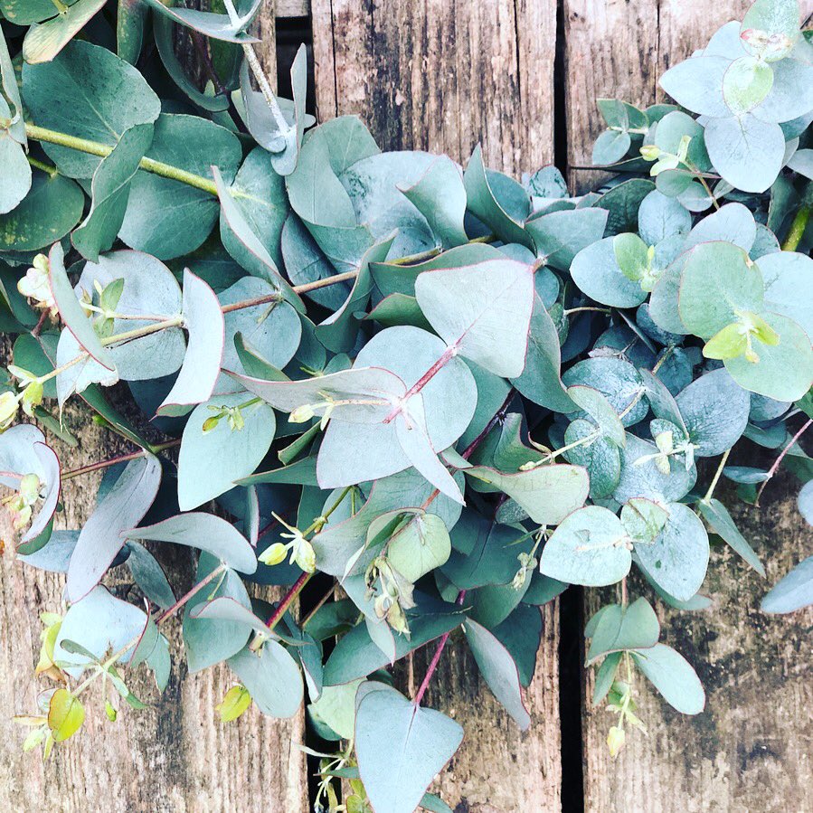 Eucalyptus garlands .. bang on trend for this season. We make them fresh and send them to your door .. so order for your special event!