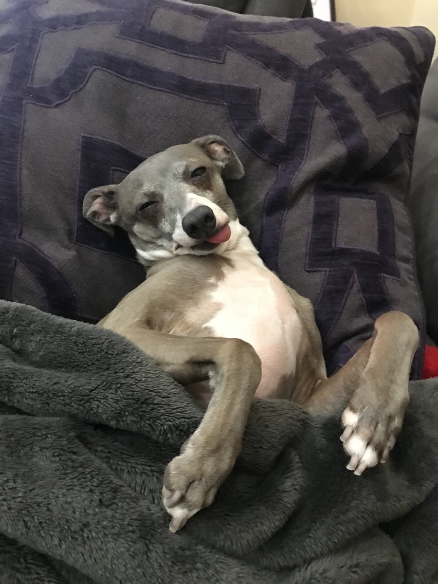 When you play all weekend and you just feel like: