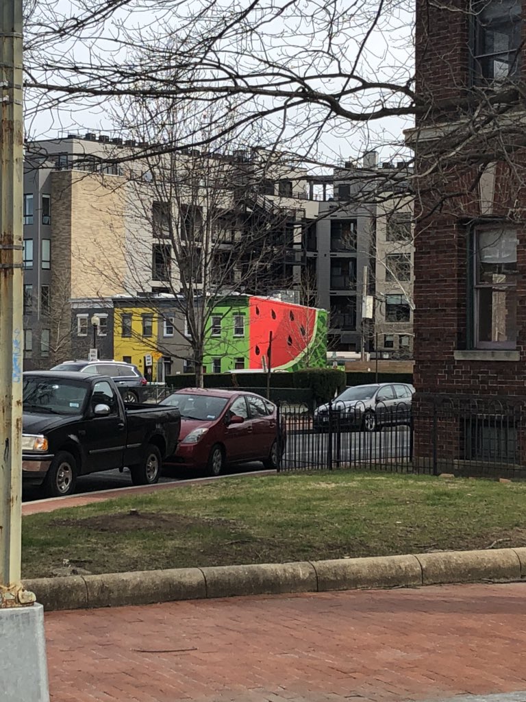 ArtNstuff's tweet photo. Strolling back home from the #MarchForOurLives in DC &amp; saw this fantastic painted home!!! 🏡 art is EVERYWHERE ❤️💚🖤❤️💚🖤 https://t.co/lDxihvWeeQ