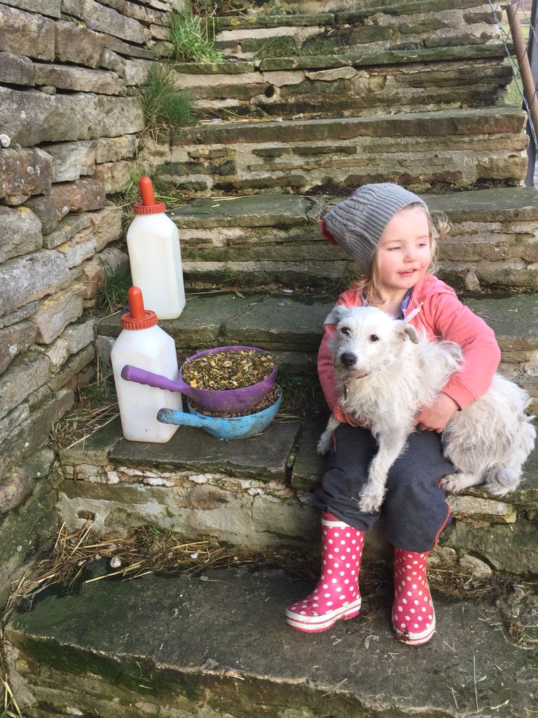 AmandaOwen8's tweet image. Chalky. 🐶
We don’t know what happened or where you are but there’s a space next to fender, beside the fire and a cushion under the settle that is looking so very empty. 
We all miss you. 😥