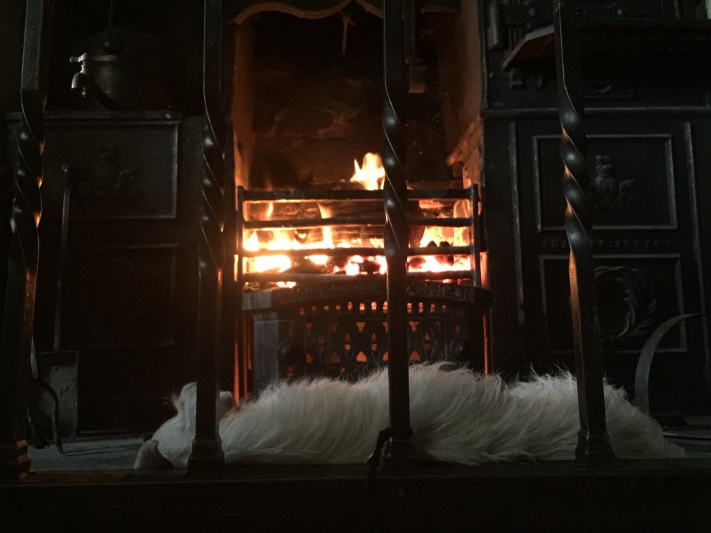 AmandaOwen8's tweet image. Chalky. 🐶
We don’t know what happened or where you are but there’s a space next to fender, beside the fire and a cushion under the settle that is looking so very empty. 
We all miss you. 😥