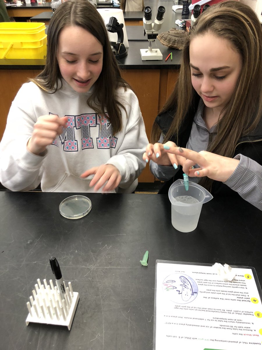 DelaneySkandal's tweet photo. Fun with genetic engineering. Thanks to the PTA for bringing in this awesome Glowing Genes workshop from Cold Speing Harbor Labs!@DelaneySkandal @SCSD_GMS https://t.co/YLdAl0pcJy
