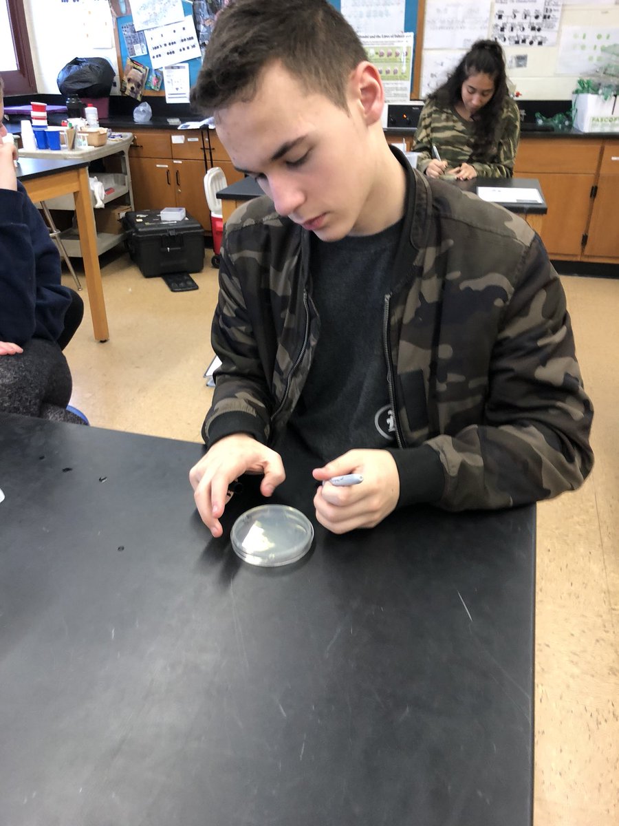 DelaneySkandal's tweet photo. Fun with genetic engineering. Thanks to the PTA for bringing in this awesome Glowing Genes workshop from Cold Speing Harbor Labs!@DelaneySkandal @SCSD_GMS https://t.co/YLdAl0pcJy