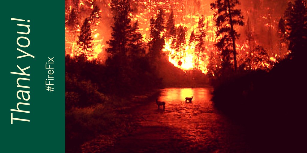 NWFoutdoors's tweet image. The #FireFix for our nation's forests included in the omnibus spending bill happened thanks to the #bipartisan champions worked together to craft comprehensive legislation.  RT and help us thank @SenatorTester @SteveDaines @SenatorRisch @MikeCrapo  @TeamCMR @lisamurkowski