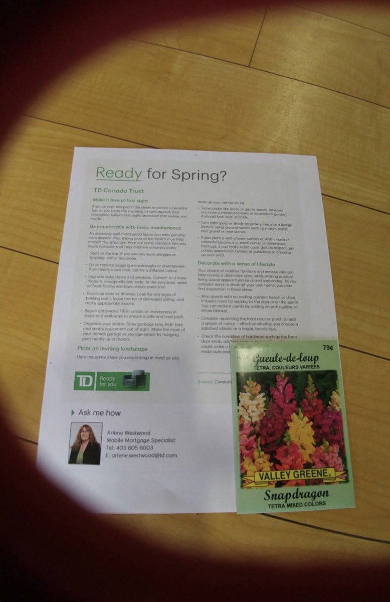 JanjuaSandy's tweet photo. Weekend Ready! YYC Green in #full force #kickstart #spring ready @TimGillrie_TD @ReneQuercia_TD https://t.co/tDvGN3Vv3P
