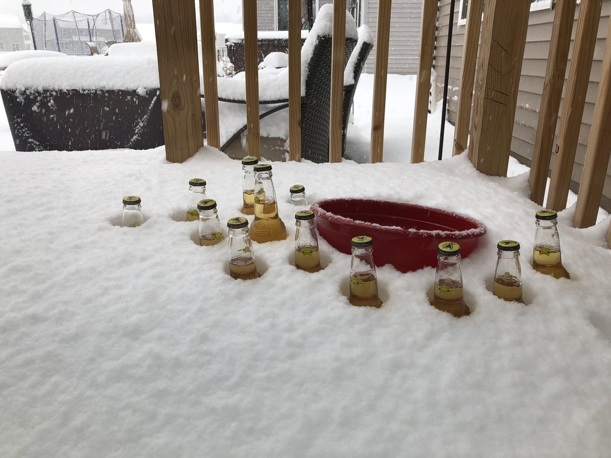 kaseyjordan23's tweet photo. When life gives you lemons you put @LandSharkCA in the snow. @jeffdoug26 #snowdone #indiana #springbreak2018 https://t.co/cTluftkQhB