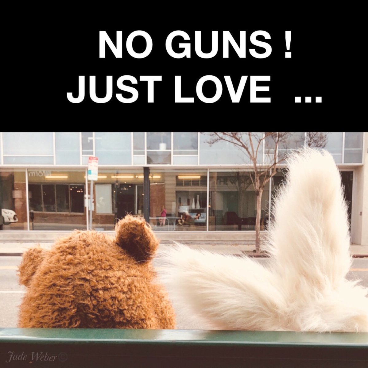 RealJadeWeber's tweet photo. Retweet! #MarchForOurLives #nogunsjustlives #nogunsjustlove https://t.co/9AAG7RmTOk