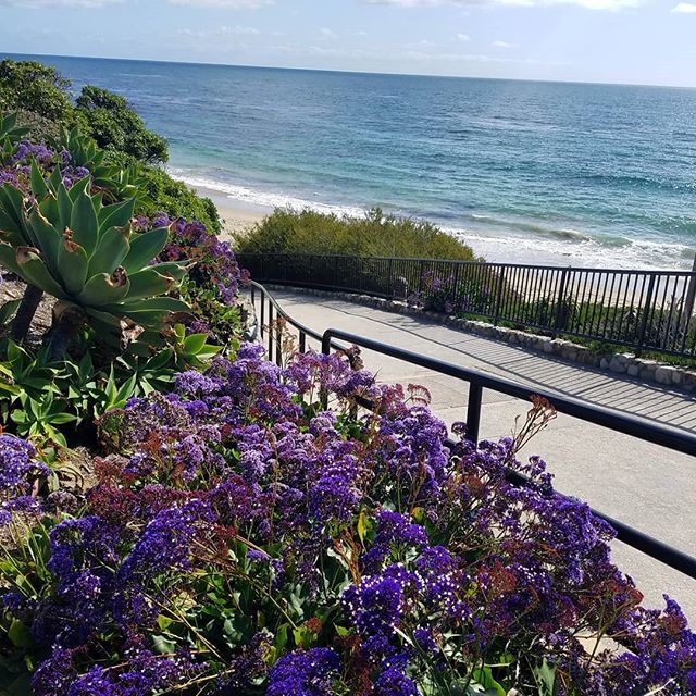 LifeLagunaBeach's tweet photo. So happy to be out and about again!! Beautiful day in #lagunabeach 🌴🌞🌊 #lifeinlagunabeach #lagunabeachcommunity #welcometolagunabeach #orangecountysecrets #localcommunicator #livingthecoastallifestyle #lagunabeachcityguide https://t.co/npARFWzxWx https://t.co/gbobB7C1Qb
