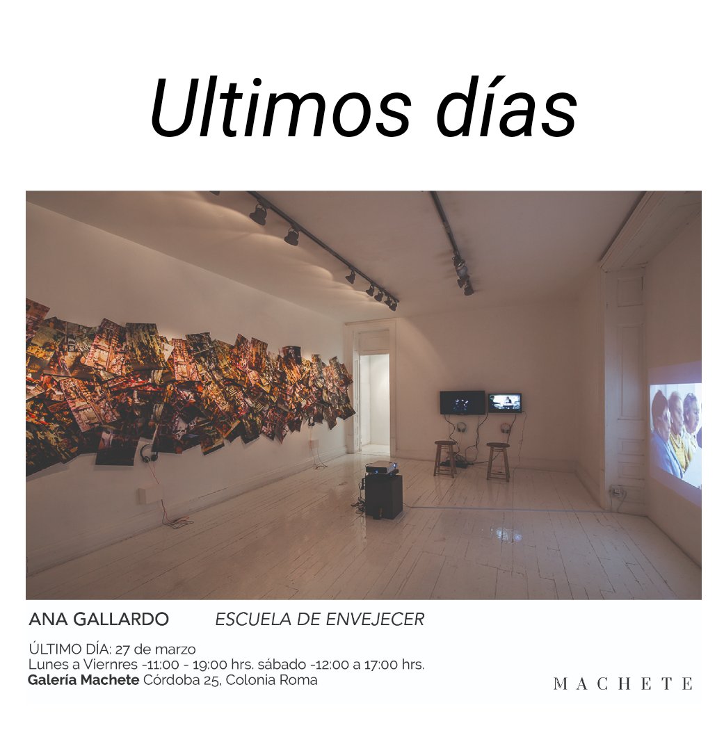 ¡Últimos días de la expo de <a href="/anagallardog/">ana gallardo</a> en Machete!