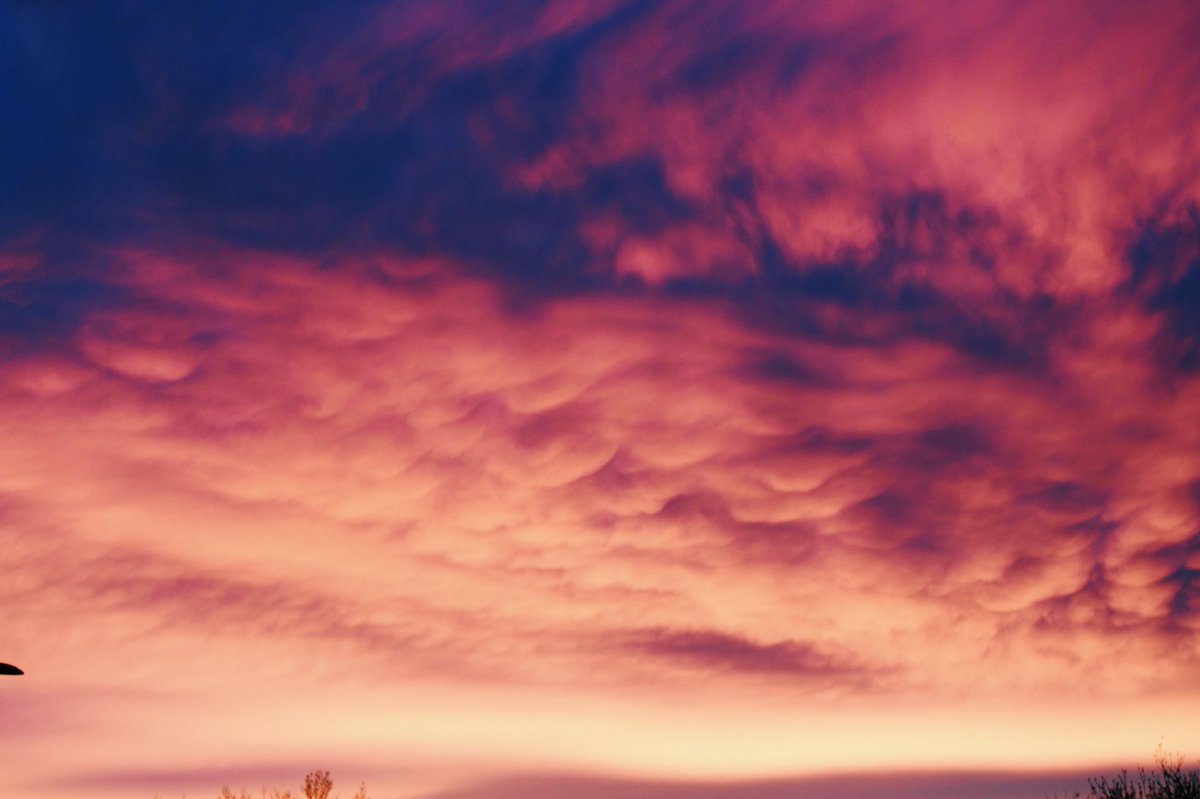 Brooks Brennan tweet media