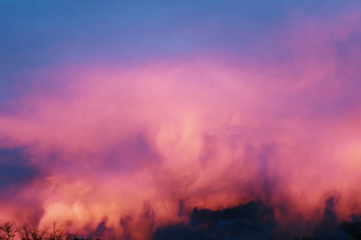 Brooks Brennan tweet media