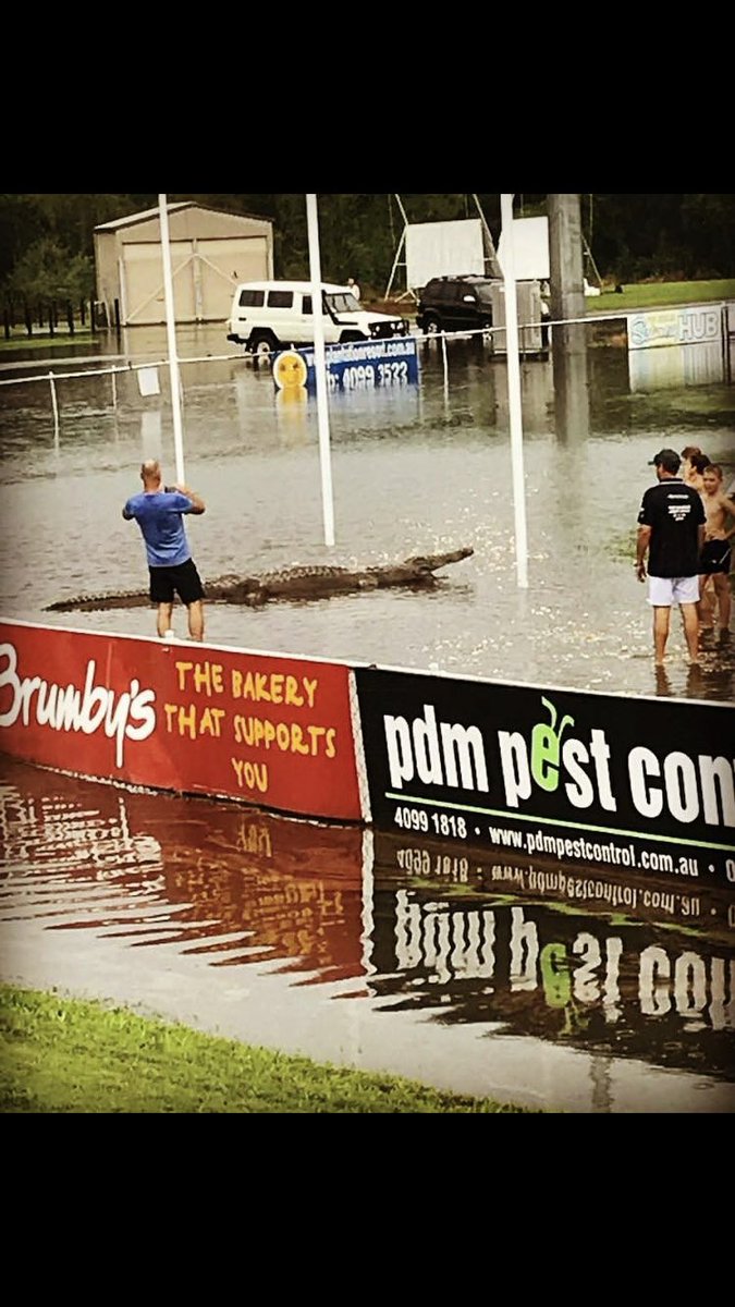 Quinny_1's tweet image. All the best to those playing footy at Port Douglas

🐊