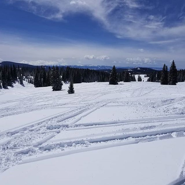 ColoradoMediaCo's tweet photo. Fresh tracks on Rabbit Ears Pass. https://t.co/06LayldqOm https://t.co/YJOM5YutGM
