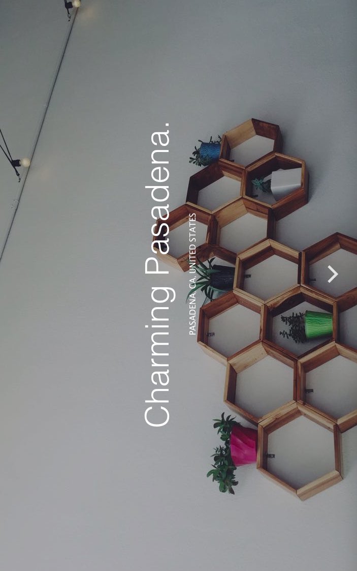 Lavender & Honey® tweet media