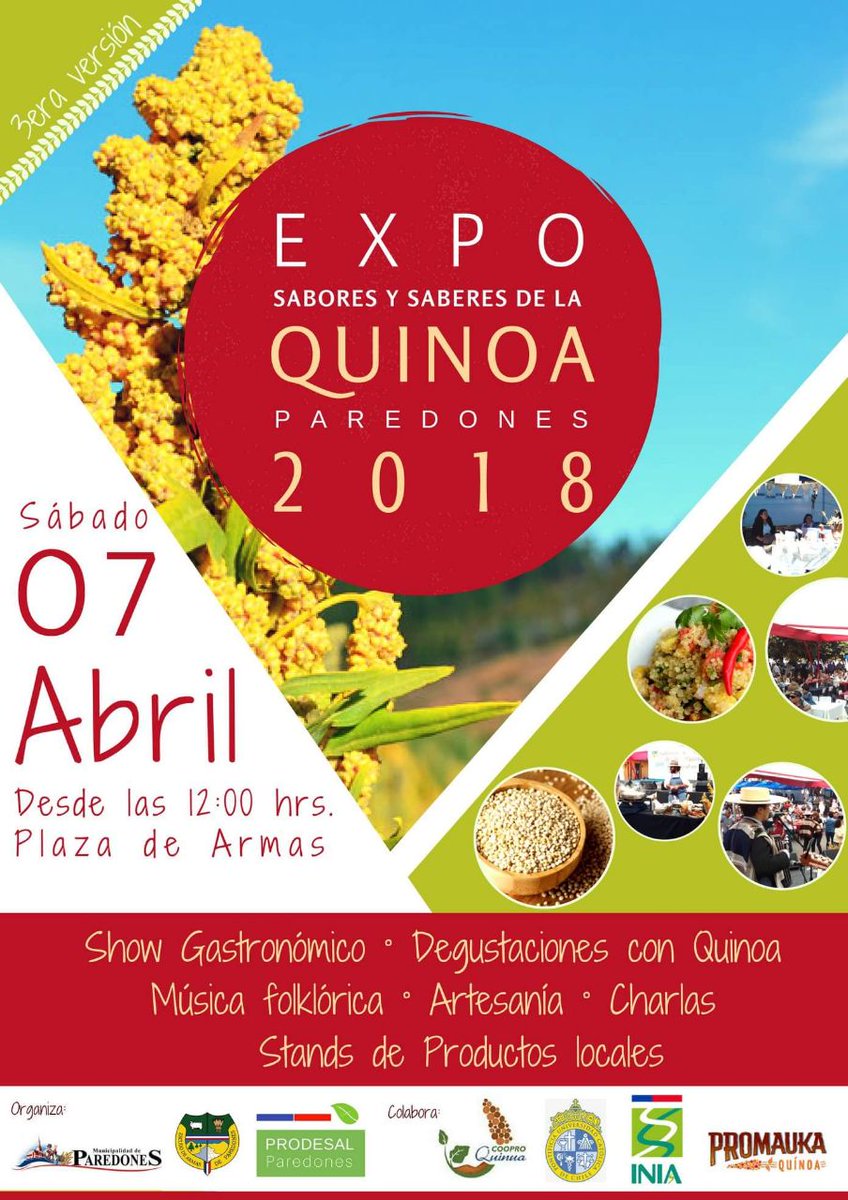 QuinoaLab's tweet photo. 📢 Invitamos a la tercera versión de la "Expo Sabores y Saberes de la #Quinoa 2018" organizada por la Ilustre Municipalidad de #Paredones @ucatolica @FIA_Chile @INDAP_Chile @muniparedones https://t.co/POvUAbMn5N