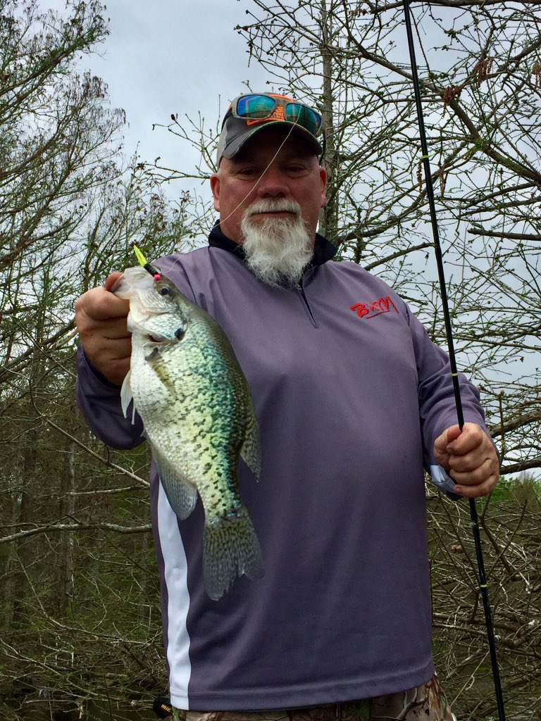 GodwintheWalrus's tweet image. Rubbing the bark off a few trees. #fincommander #bnmpoles #realtreefishing #realtreelife