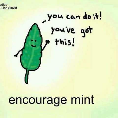 Buddha's Nature Maintenance tweet media