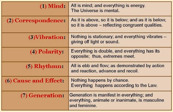 SublimeToad's tweet image. 